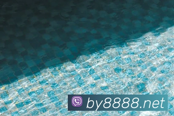 8868APP 封面图